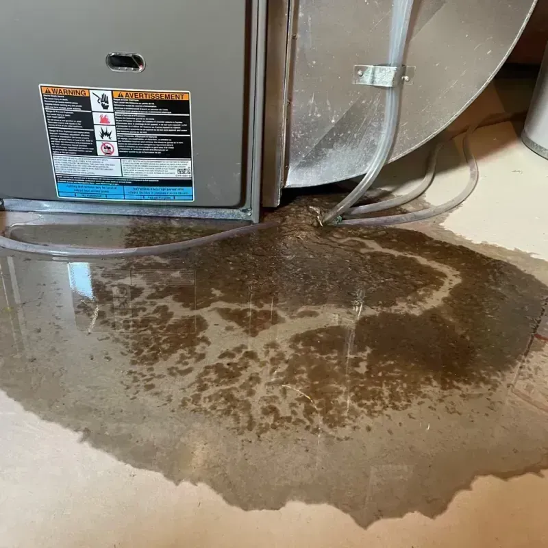 Appliance Leak Cleanup in Fort Lauderdale, FL